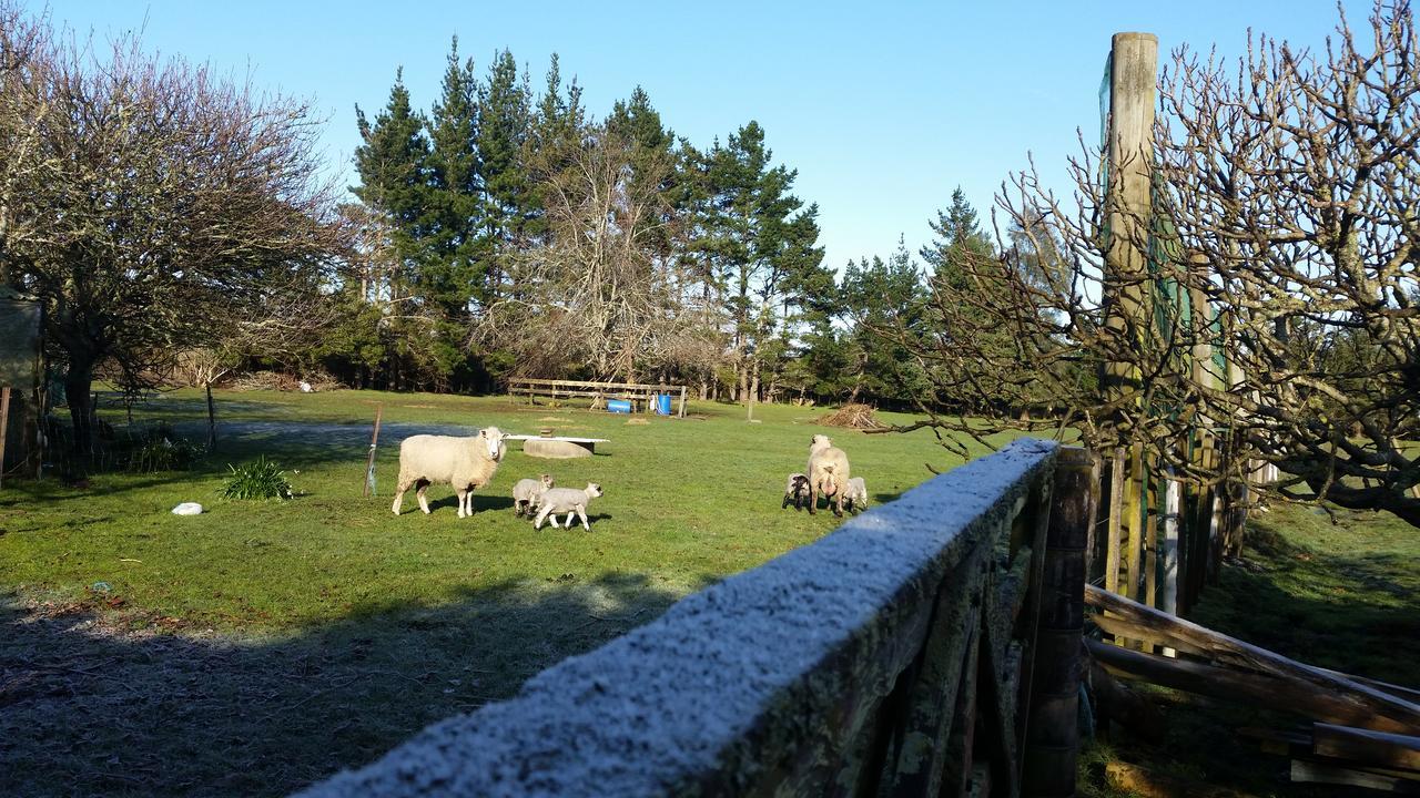 Woodbury Farm Bed & Breakfast Takanini ภายนอก รูปภาพ
