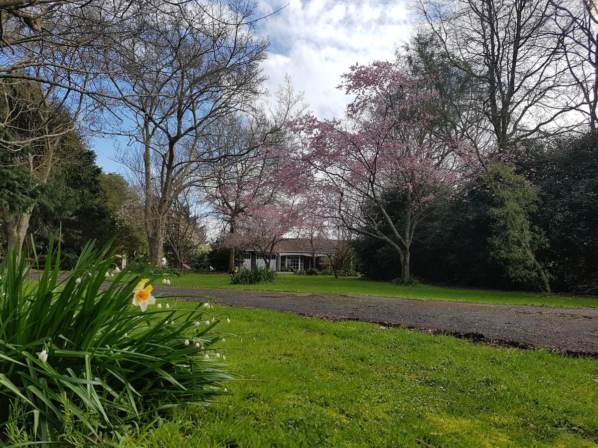 Woodbury Farm Bed & Breakfast Takanini ภายนอก รูปภาพ
